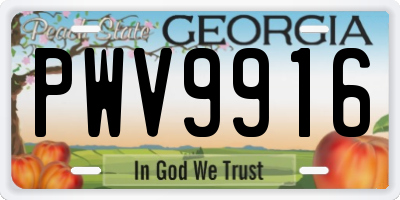 GA license plate PWV9916