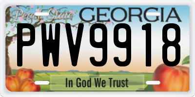 GA license plate PWV9918