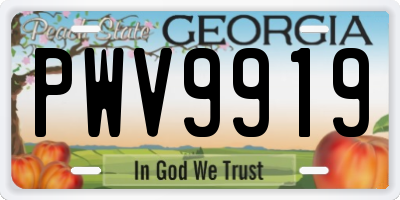 GA license plate PWV9919