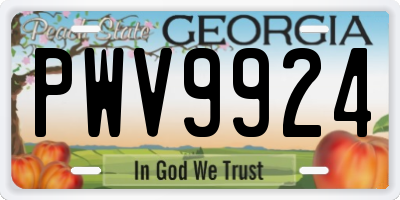 GA license plate PWV9924