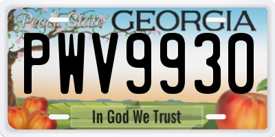 GA license plate PWV9930