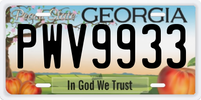 GA license plate PWV9933