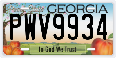 GA license plate PWV9934