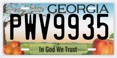 GA license plate PWV9935