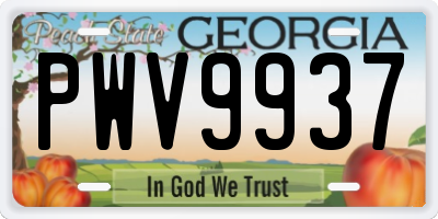 GA license plate PWV9937