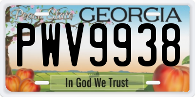 GA license plate PWV9938