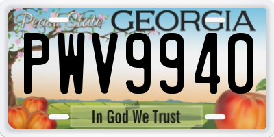 GA license plate PWV9940