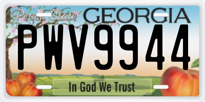 GA license plate PWV9944