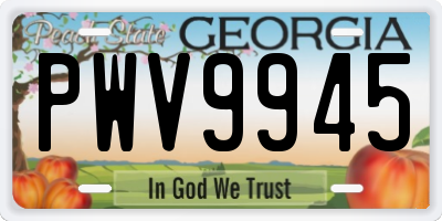 GA license plate PWV9945