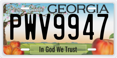 GA license plate PWV9947