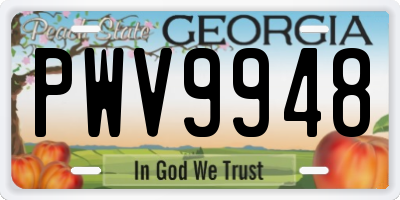 GA license plate PWV9948