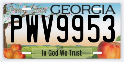 GA license plate PWV9953