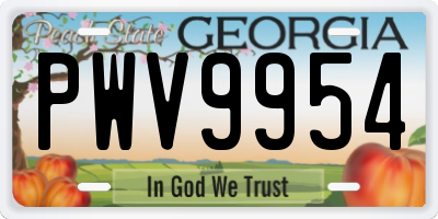 GA license plate PWV9954