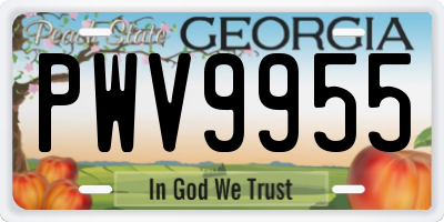 GA license plate PWV9955