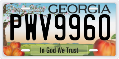 GA license plate PWV9960