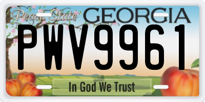 GA license plate PWV9961