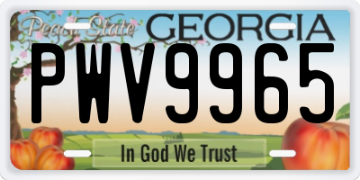 GA license plate PWV9965