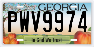 GA license plate PWV9974