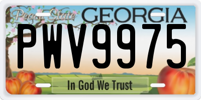 GA license plate PWV9975