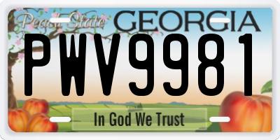 GA license plate PWV9981