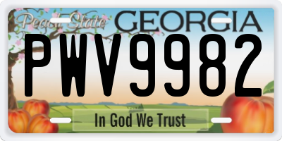 GA license plate PWV9982