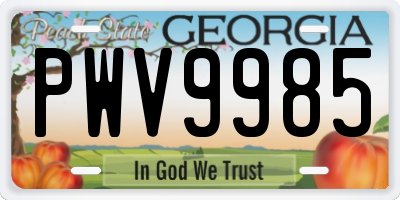 GA license plate PWV9985