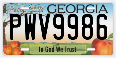 GA license plate PWV9986