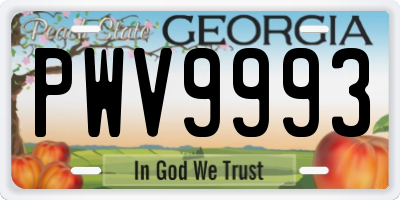 GA license plate PWV9993