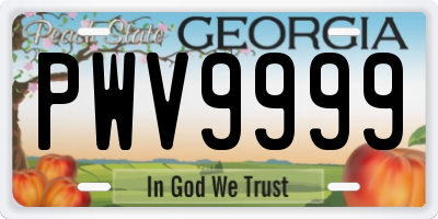 GA license plate PWV9999