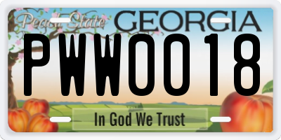 GA license plate PWW0018