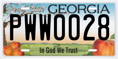 GA license plate PWW0028