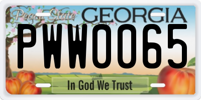 GA license plate PWW0065