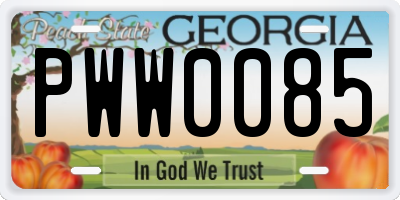 GA license plate PWW0085