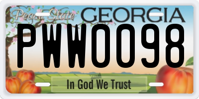 GA license plate PWW0098