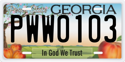 GA license plate PWW0103
