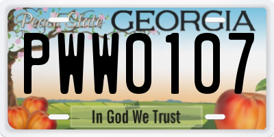 GA license plate PWW0107