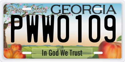 GA license plate PWW0109