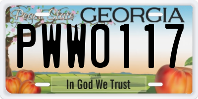 GA license plate PWW0117