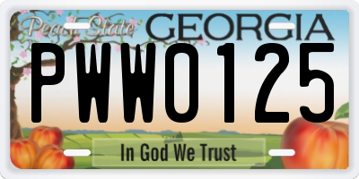 GA license plate PWW0125