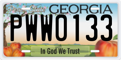 GA license plate PWW0133