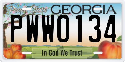 GA license plate PWW0134