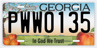 GA license plate PWW0135