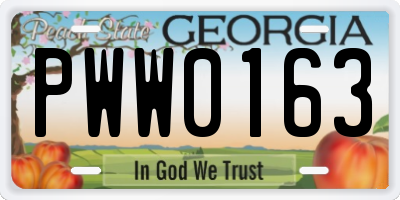 GA license plate PWW0163