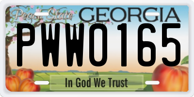 GA license plate PWW0165
