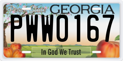 GA license plate PWW0167