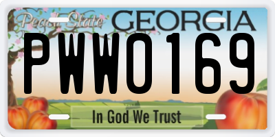 GA license plate PWW0169