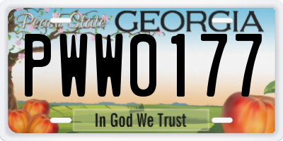 GA license plate PWW0177