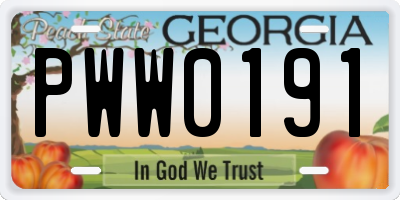GA license plate PWW0191