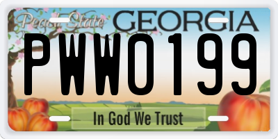 GA license plate PWW0199