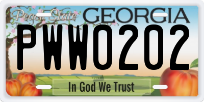 GA license plate PWW0202